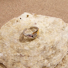 Mixed Shine Ring